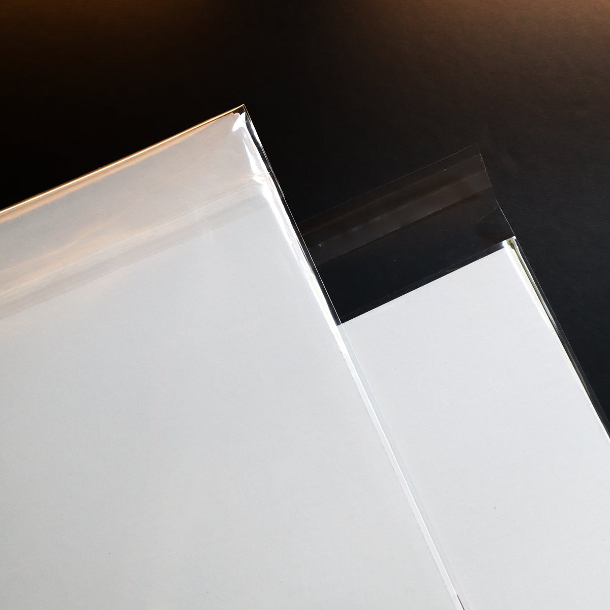 Two clear plastic zip-top bags, one larger and one smaller, shown on a dark black background.